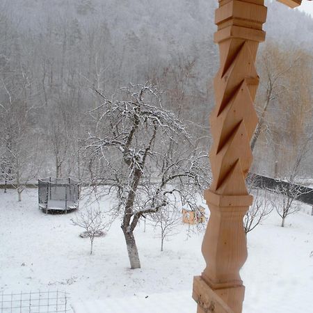 Casa Carbunaru Aknavásár Kültér fotó