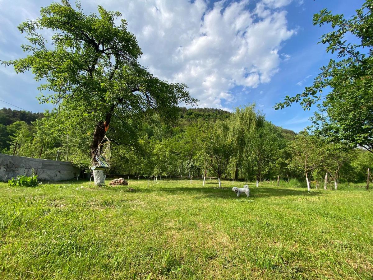Casa Carbunaru Aknavásár Kültér fotó