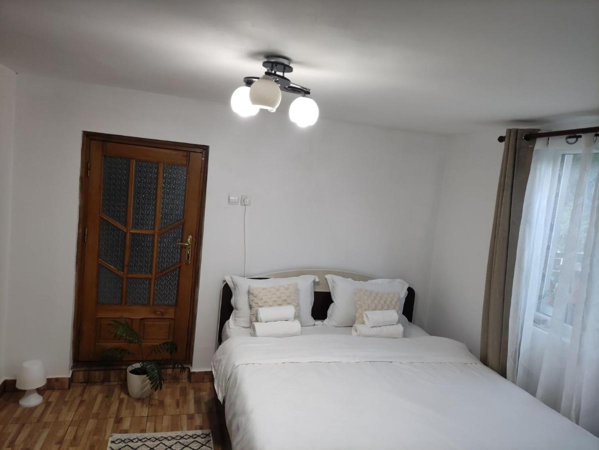 Casa Carbunaru Aknavásár Kültér fotó
