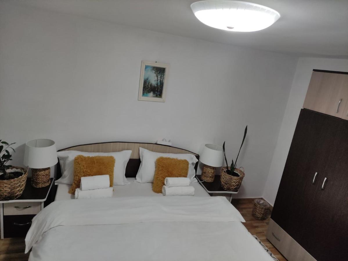 Casa Carbunaru Aknavásár Kültér fotó