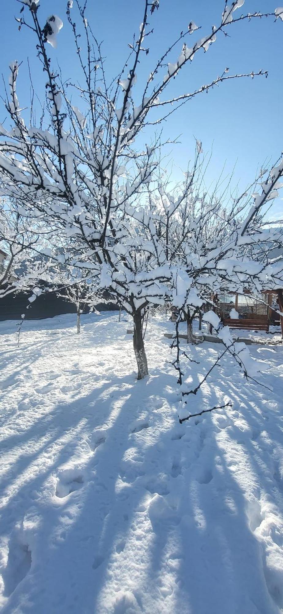 Casa Carbunaru Aknavásár Kültér fotó