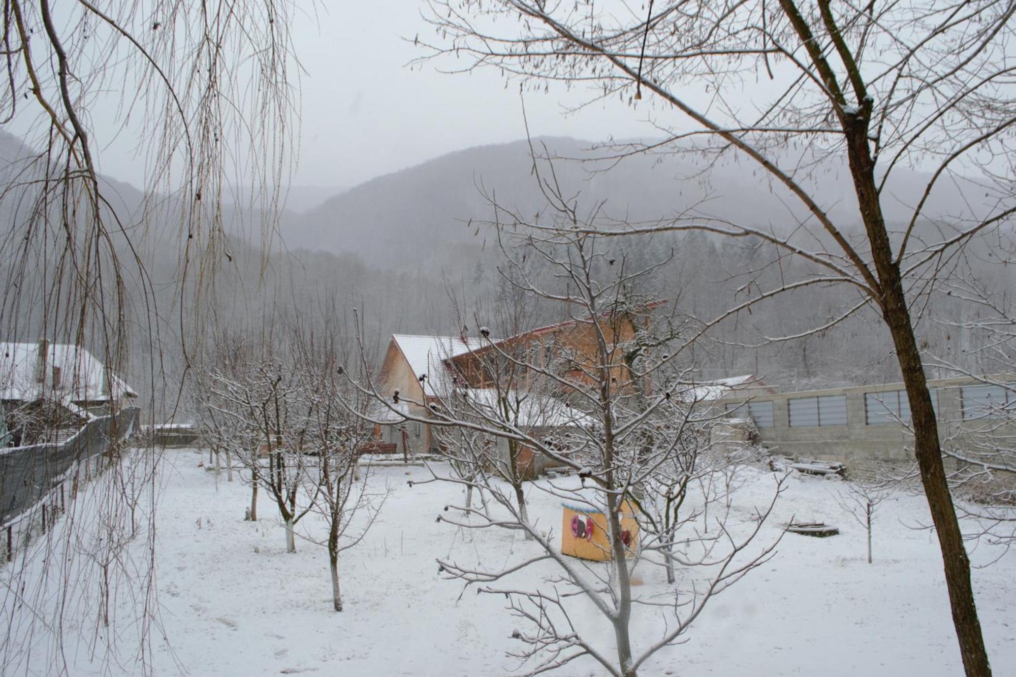 Casa Carbunaru Aknavásár Kültér fotó