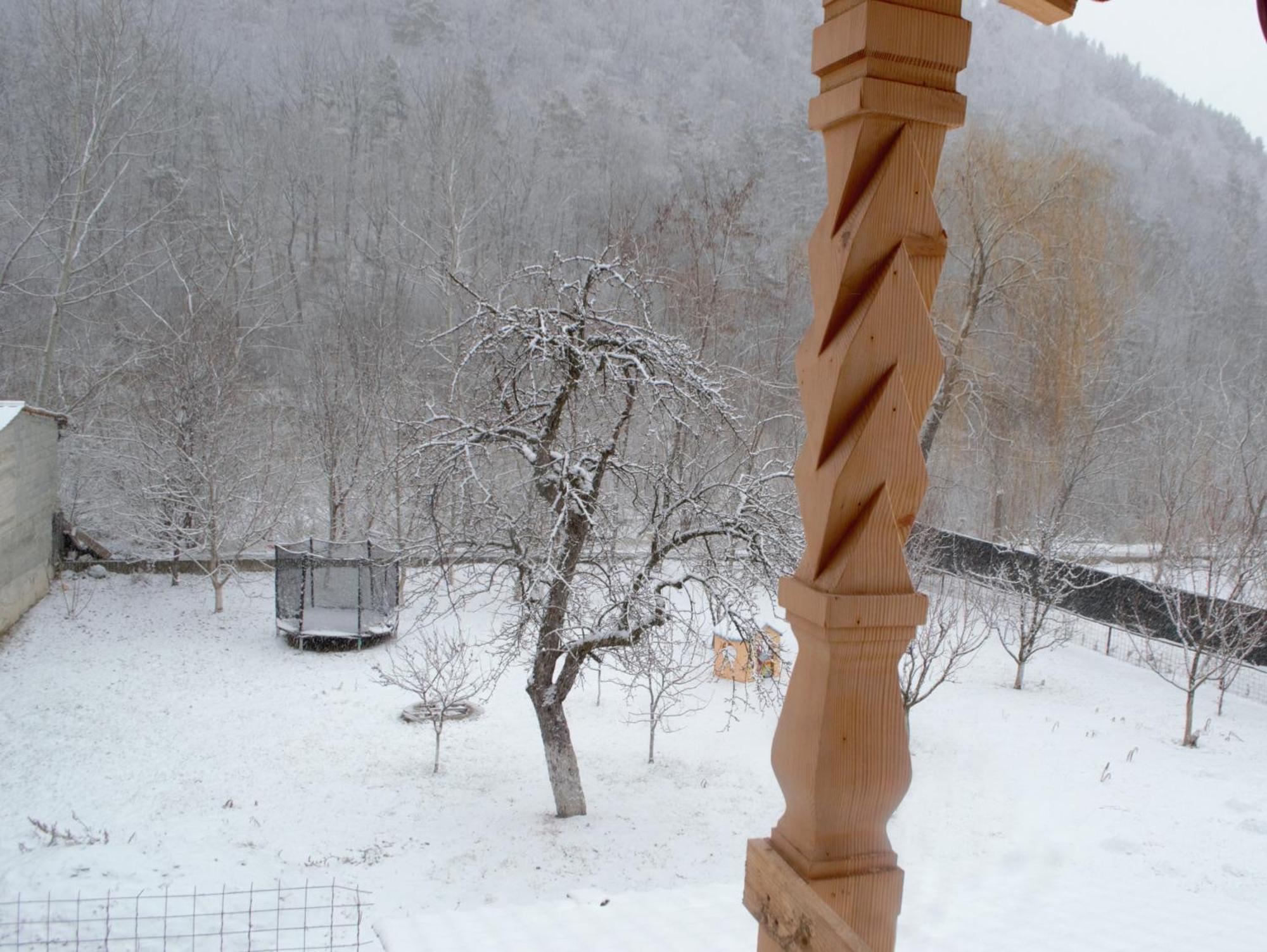 Casa Carbunaru Aknavásár Kültér fotó